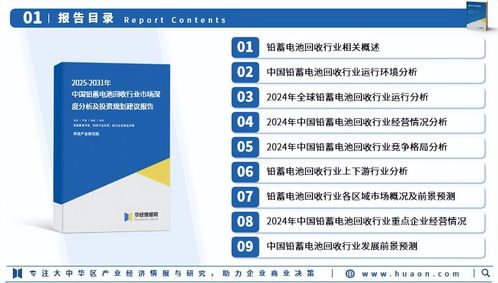 2025年中國鉛蓄電池回收行業市場深度調查及投資前景預測報告